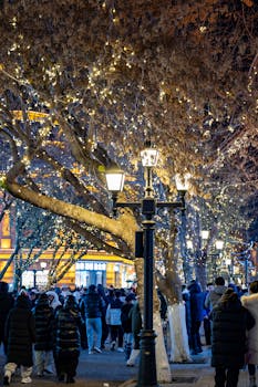 洪灝对话辜朝明：所有人都做正确的事，反而会拖垮整个经济 新闻