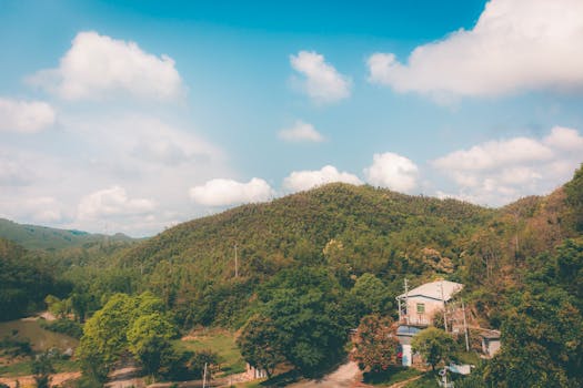 飞天茅台批价三日连跌百元，“散户大军”正重塑价格生态 新闻