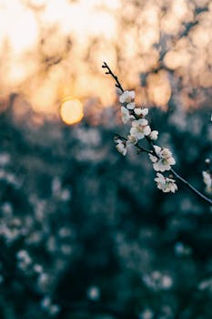 优诺中国再度易主：天图退出 IDG接手 新闻