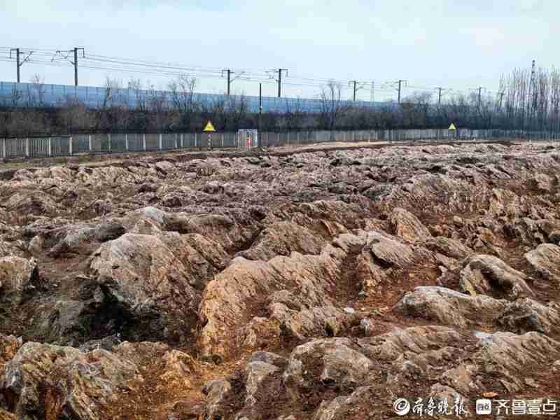  山东修高铁站挖出约5亿年前石海，专家称系寒武纪石灰岩，当地：已保护起来，正实地考察 新闻