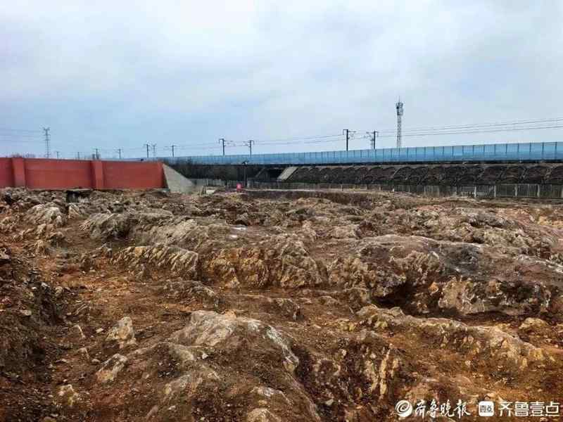 山东修高铁站挖出约5亿年前石海，专家称系寒武纪石灰岩，当地：已保护起来，正实地考察 新闻