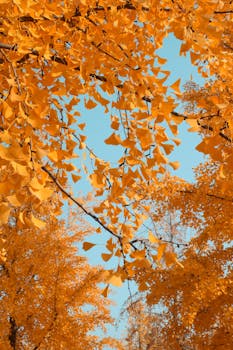  豆神教育董事会动作频仍；补选非独立董事唐颖；章程修订取消副董事长职位。 股票财经