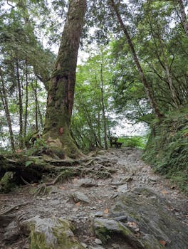  资本市场双重上市热潮涌现；硬科技龙头加速国际布局；产业升级步伐持续加快。 股票财经