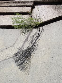  增收计划务实推进，破除壁垒拓宽渠道；多措并举强能力，兜牢底线促稳定。 新闻 增收计划务实推进，破除壁垒拓宽渠道；多措并举强能力，兜牢底线促稳定。 新闻