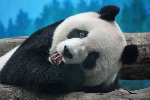  宣泰医药股权激励方案获关键批复通过；市国资委原则同意草案修订稿，股东大会审议成为下一步重点。 股票财经