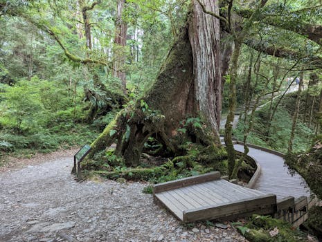  银行安全优先；迪拜金融枢纽遭遇区域冲突冲击。 股票财经 银行安全优先；迪拜金融枢纽遭遇区域冲突冲击。 股票财经