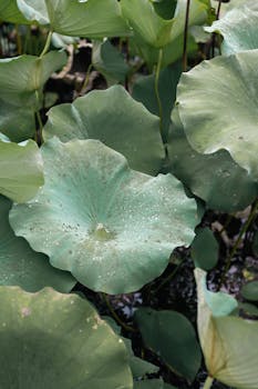  个人贷款透明时代开启；息费一表明示直击美容分期隐忧。 股票财经 个人贷款透明时代开启；息费一表明示直击美容分期隐忧。 股票财经 个人贷款透明时代开启；息费一表明示直击美容分期隐忧。 股票财经