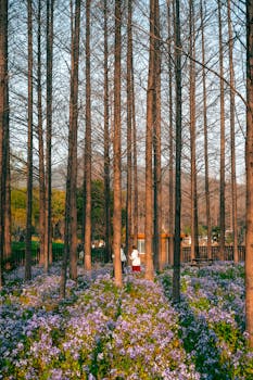  碧桂园优化返聘机制；经营重心转向恢复轨道。 房产家居