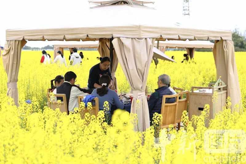  春季出行热浪涌动；跨界玩法激活消费潜力。 文化旅游 春季出行热浪涌动；跨界玩法激活消费潜力。 文化旅游