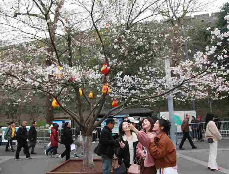  春季出行热浪涌动；跨界玩法激活消费潜力。 文化旅游 春季出行热浪涌动；跨界玩法激活消费潜力。 文化旅游