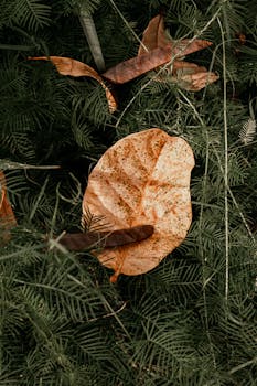  市场低开低走；权重板块承压；调整周期中酝酿新机遇。 股票财经 市场低开低走；权重板块承压；调整周期中酝酿新机遇。 股票财经