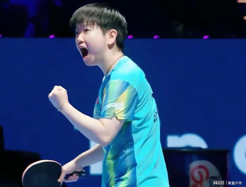  逆境反弹的博弈逻辑：国乒主力为何深陷苦战与突围之道 体育新闻