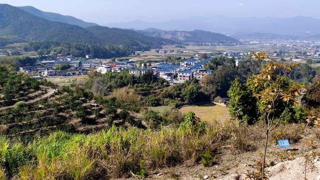  【技术拆解】浙江省土地交易新规深度解析：十章四十三条的逻辑重构与实操变革 房产家居