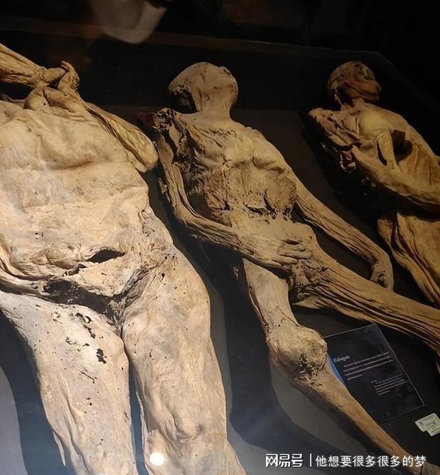  【技术考古】一场持续四百年的认知谬误：欧洲木乃伊贸易产业链深度拆解 新闻