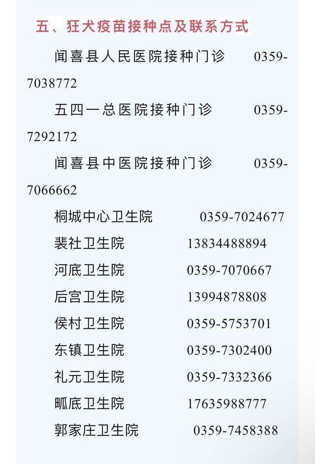  从被狗咬到接种疫苗：一个普通人的六小时“求生”全记录 新闻