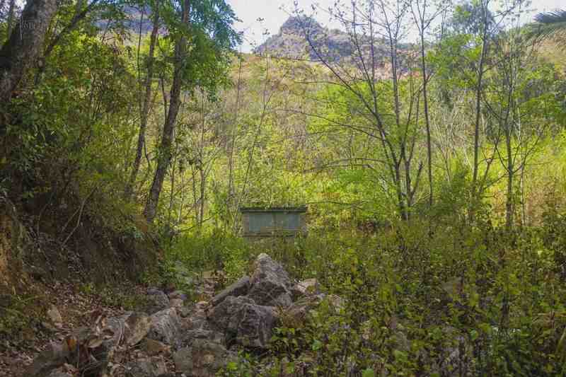  【技术解密】藏在云南深山的农民公园：数据结构化拆解中国第一个农民自治景区 文化旅游