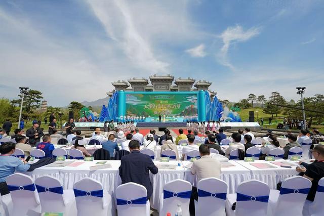  【深度复盘】二十年文旅品牌锻造史：济源王屋山文化旅游节的战略演进与方法论 文化旅游