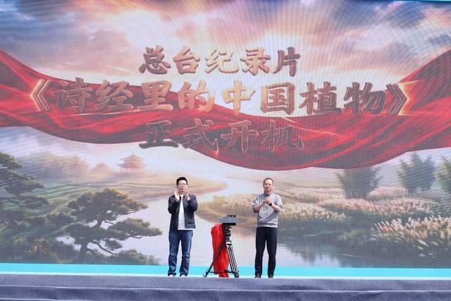  【深度复盘】二十年文旅品牌锻造史：济源王屋山文化旅游节的战略演进与方法论 文化旅游