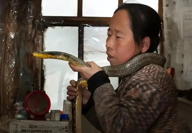  一段跨越十二年的奇缘：从毒蛇救助到生态共生，一名农村女性的野生动物观察笔记 文化旅游