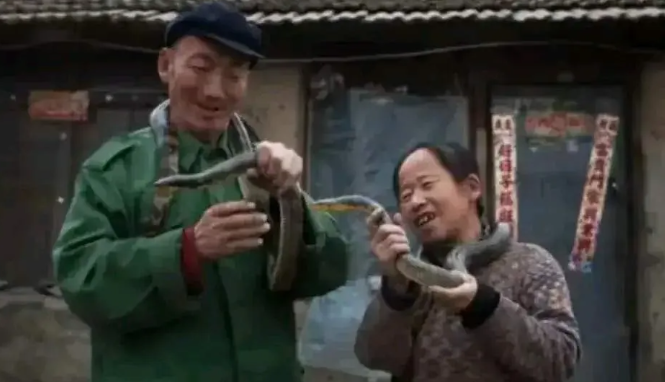  一段跨越十二年的奇缘：从毒蛇救助到生态共生，一名农村女性的野生动物观察笔记 文化旅游