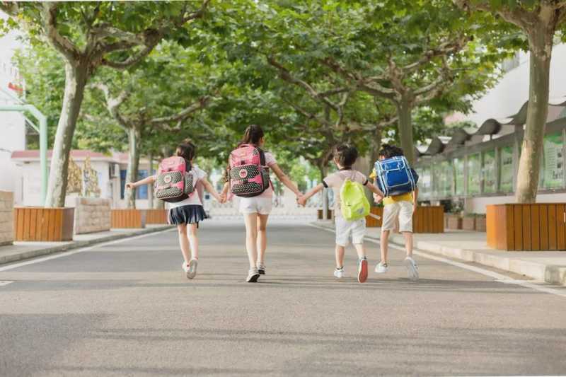  从管理学视角解码校长领导力的三维架构：品德·思想·行动的系统性协同 教育招生