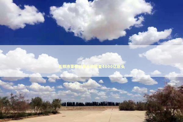 五粮液董事长曾从钦被查4000亿巨头 新闻