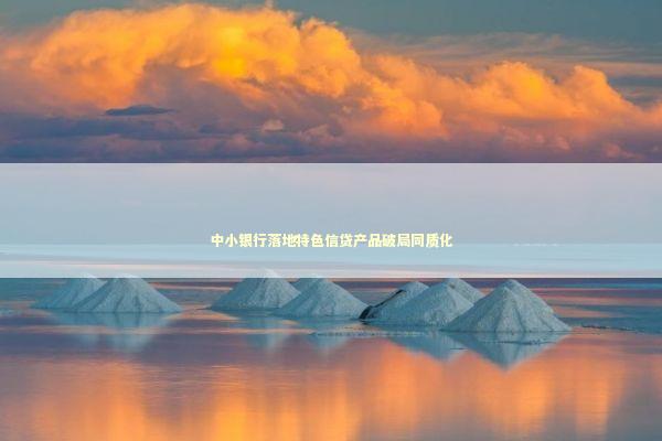 中小银行落地特色信贷产品破局同质化 新闻