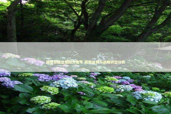 佰维存储业绩四大信号 周期反转与战略转型分析 新闻