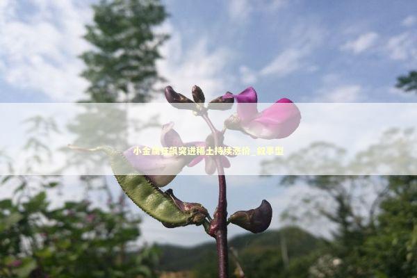 小金属狂飙突进稀土持续涨价_叙事型 新闻