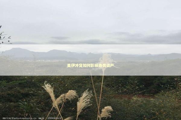 美伊冲突如何影响各类资产 新闻