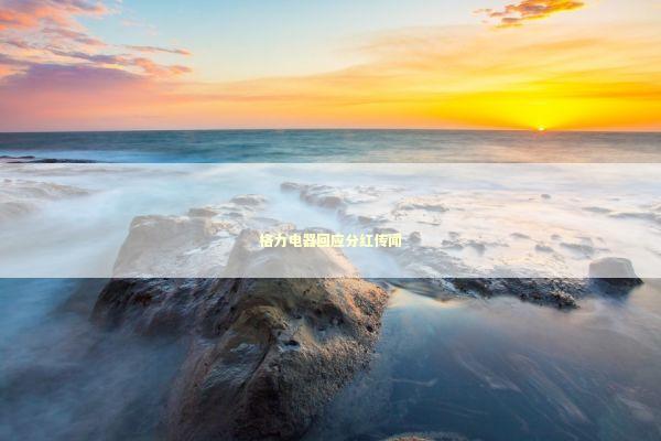 格力电器回应分红传闻 新闻