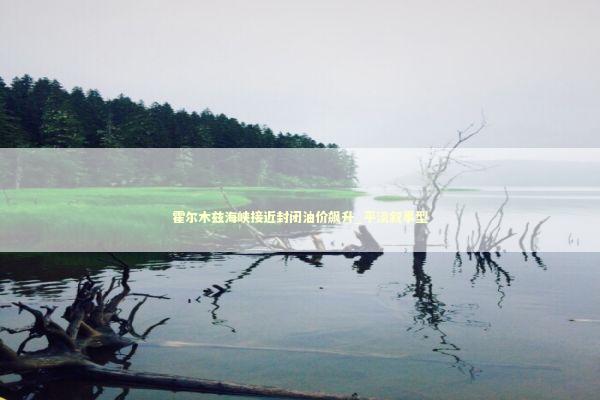 霍尔木兹海峡接近封闭油价飙升_平淡叙事型 新闻