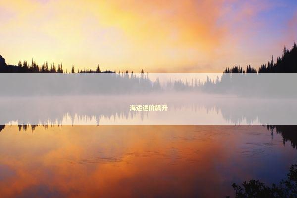 海运运价飙升 新闻