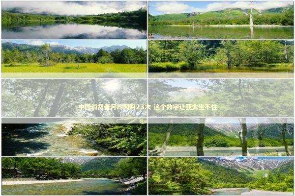 中国消费者月均网购23次 这个数字让亚太坐不住 新闻