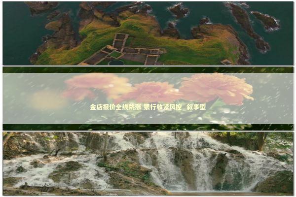 金店报价全线跳涨 银行收紧风控_叙事型 新闻