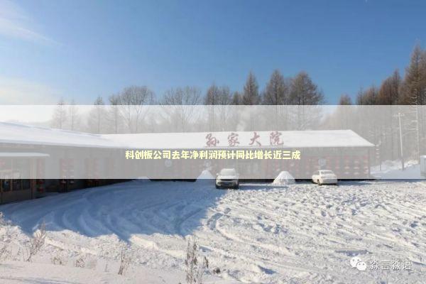 科创板公司去年净利润预计同比增长近三成 新闻