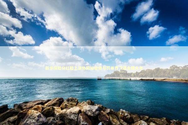 新华保险分红险上消协网站业绩与罚单齐飞遇合规大考 新闻