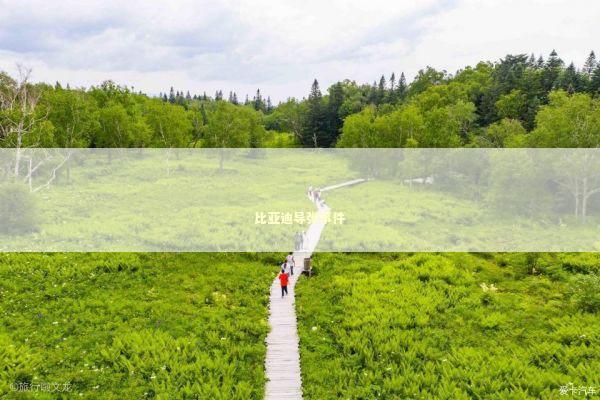 比亚迪导弹事件 新闻