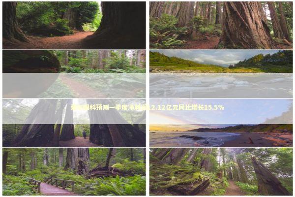 爱尔眼科预测一季度净利润12.12亿元同比增长15.5% 新闻