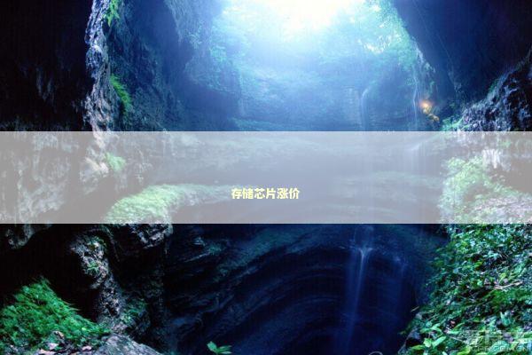 存储芯片涨价 新闻