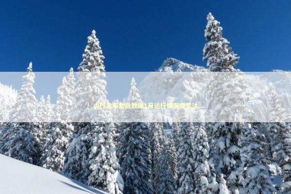 央行发布金融数据1月运行情况受关注 新闻