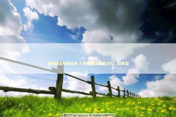 春晚顶流引爆资本 人形机器人吸金35亿_叙事型 新闻