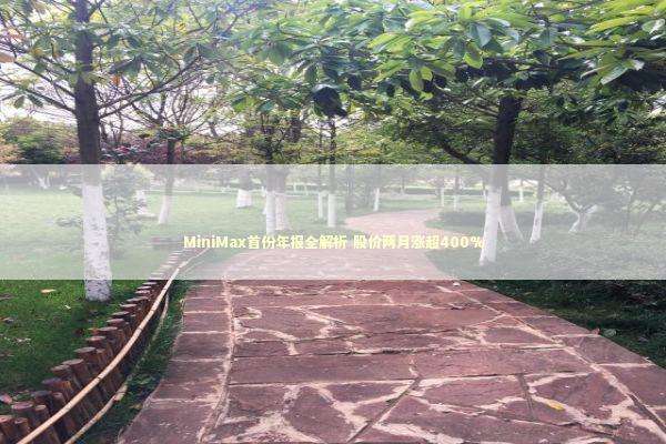 MiniMax首份年报全解析 股价两月涨超400% 新闻