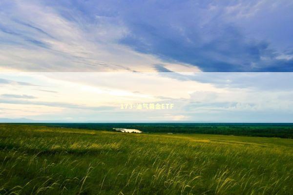 173-油气黄金ETF 新闻