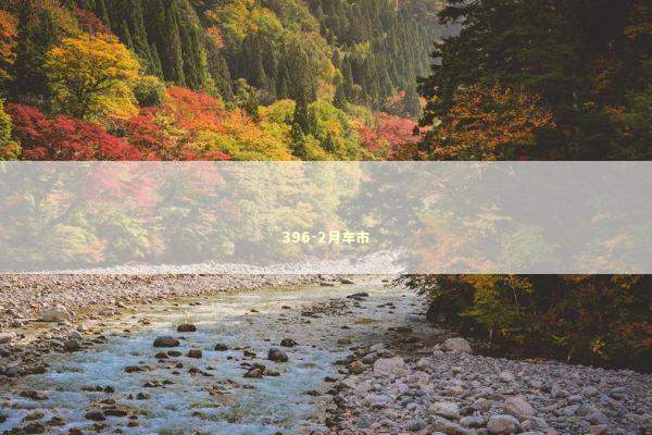 396-2月车市 新闻