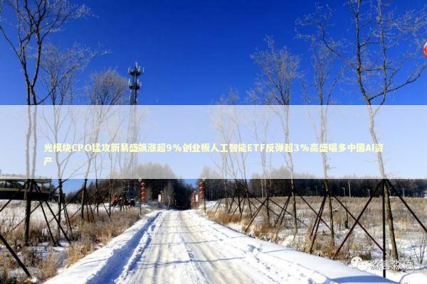 光模块CPO猛攻新易盛飙涨超9%创业板人工智能ETF反弹超3%高盛唱多中国AI资产 新闻