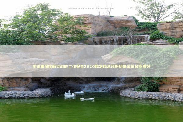 李迅雷深度解读政府工作报告2026降准降息预期明确金价长期看好 新闻