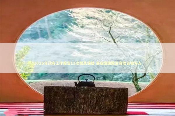 2026年政府工作报告13次提及保险 商业健康险生育险首被写入 新闻