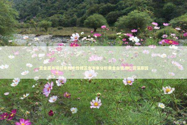 贵金属市场迎来技术性修正金丰来分析黄金白银高位震荡原因 新闻