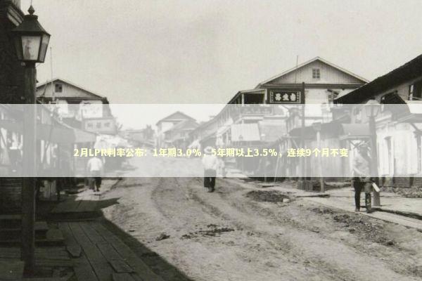 2月LPR利率公布：1年期3.0%，5年期以上3.5%，连续9个月不变 新闻